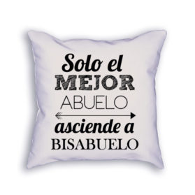 Cojín solo el mejor abuelo